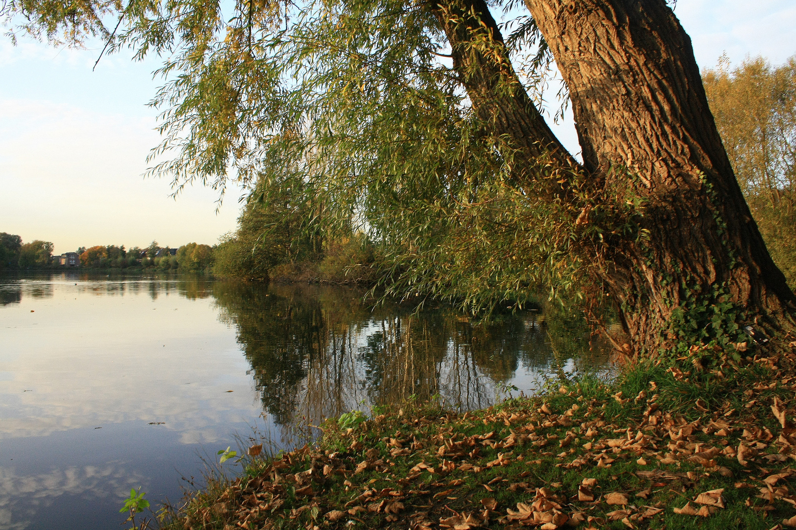 Herbst