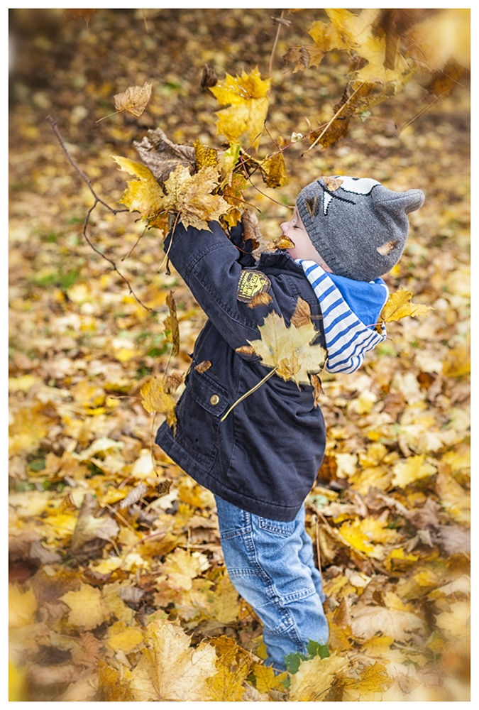 hErBsT