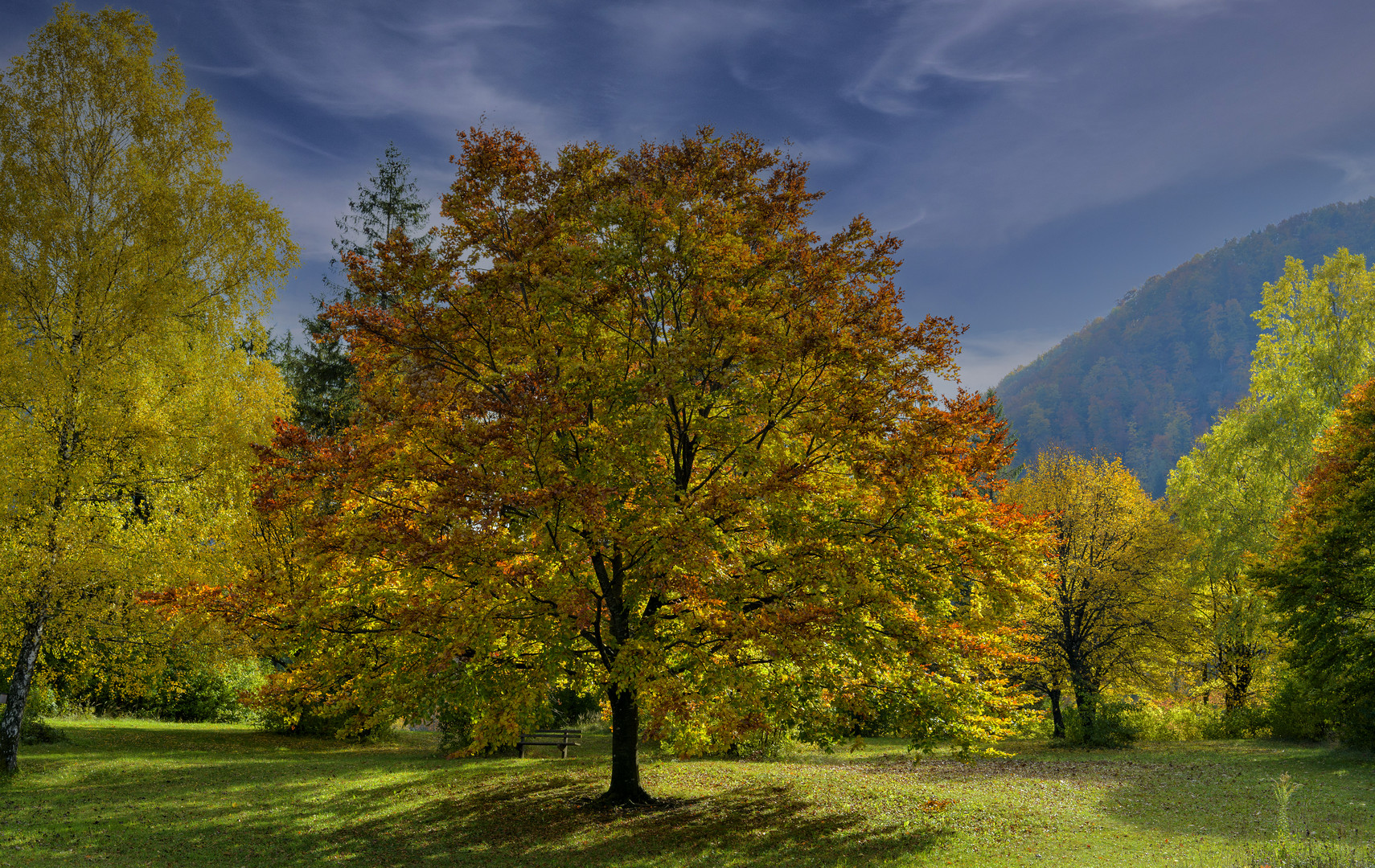 Herbst