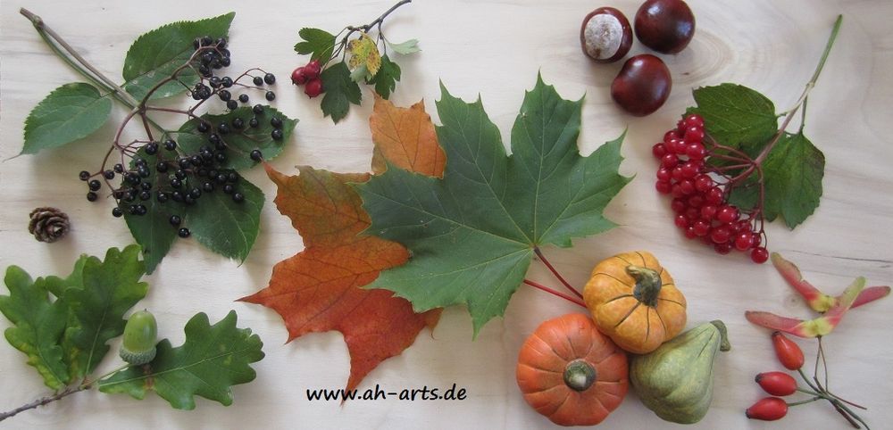 Herbst 13