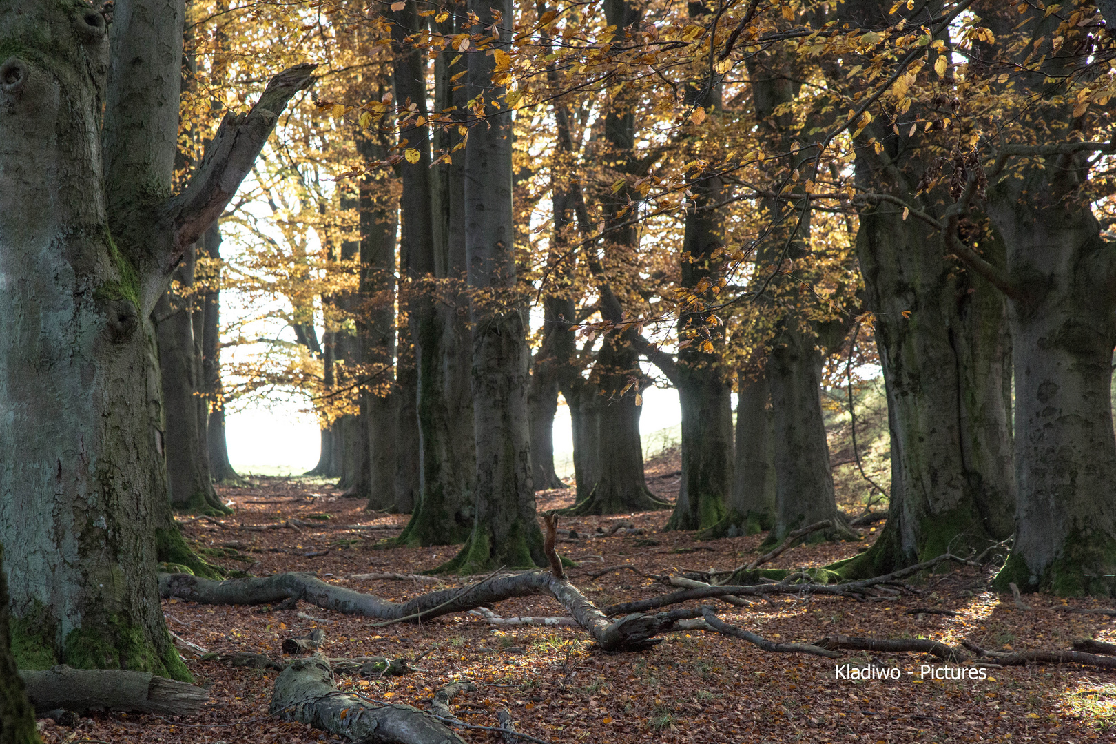 Herbst 14