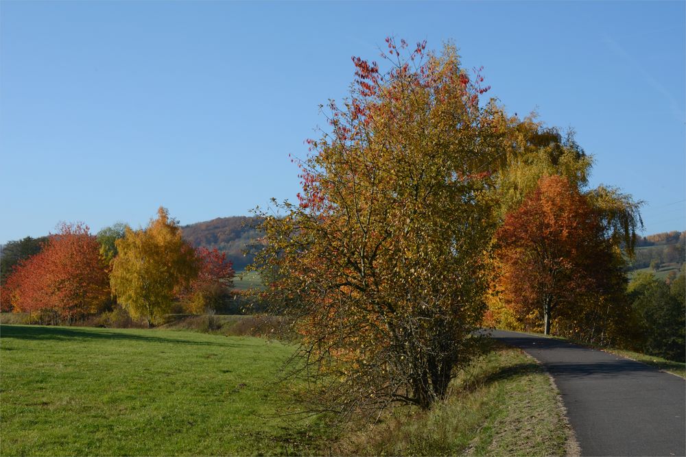 Herbst -14-