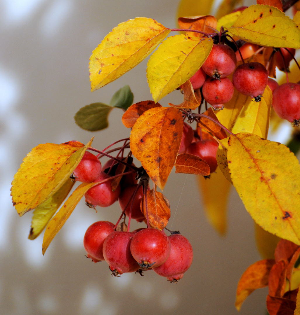 Herbst `14