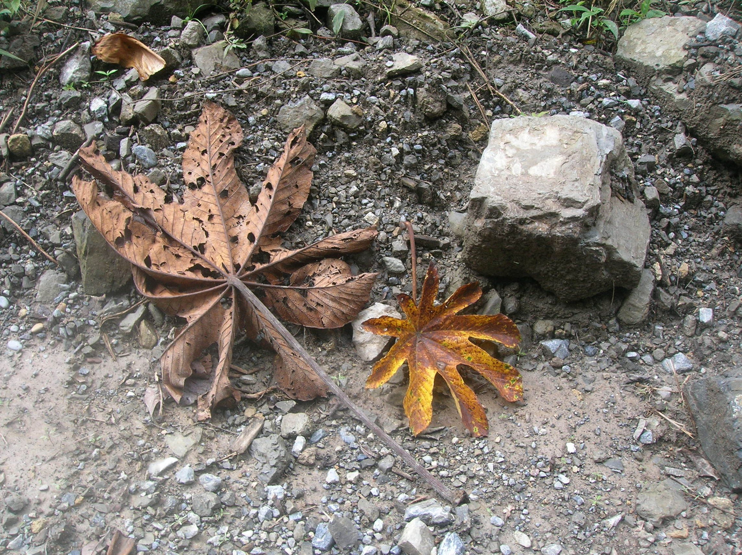 Herbst...