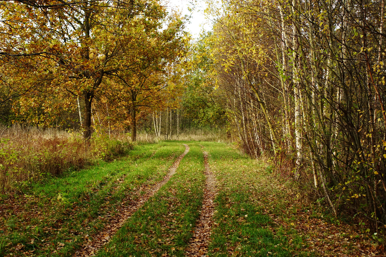 Herbst