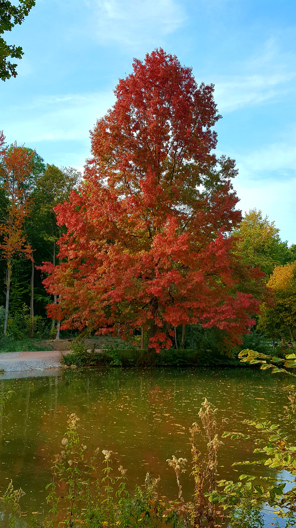 Herbst 