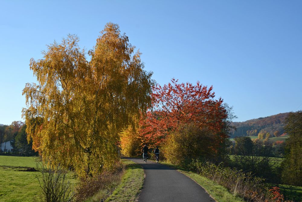 Herbst -15-