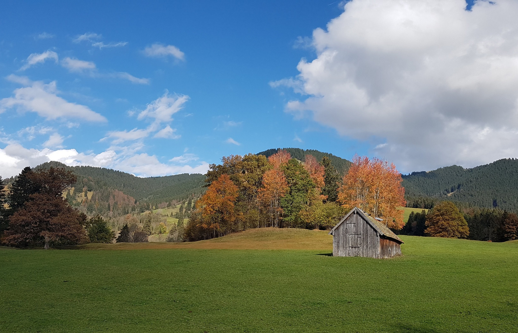 Herbst