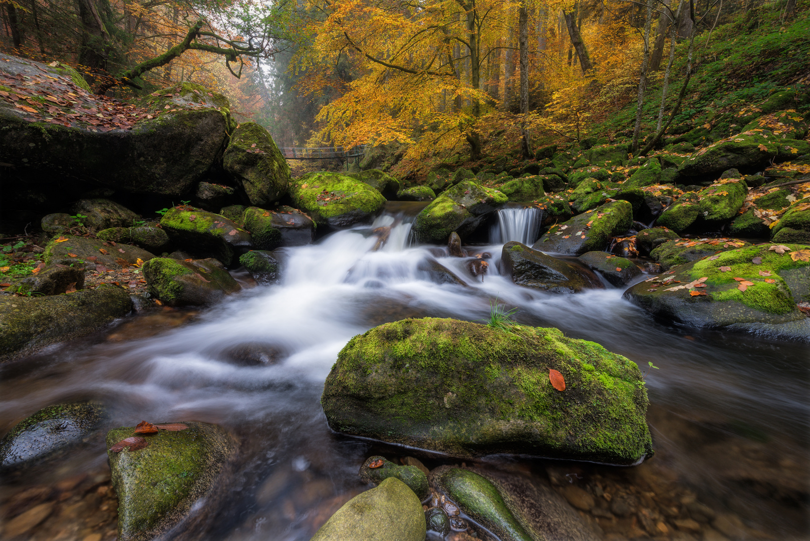 Herbst