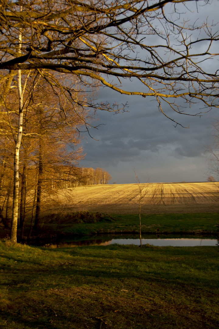 Herbst