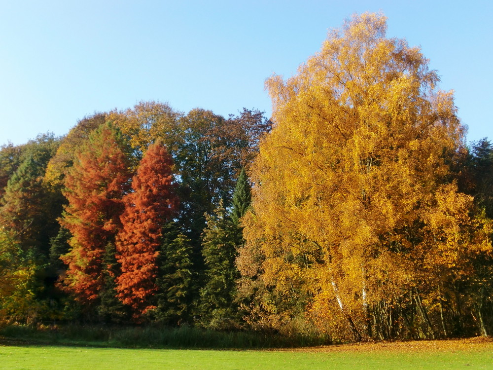 Herbst...