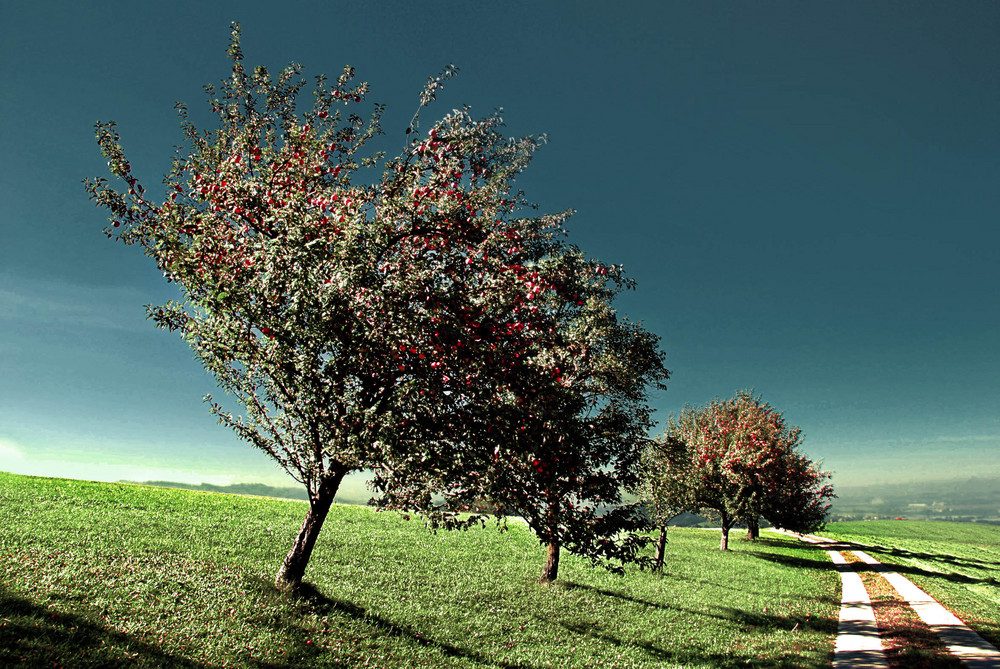 Herbst