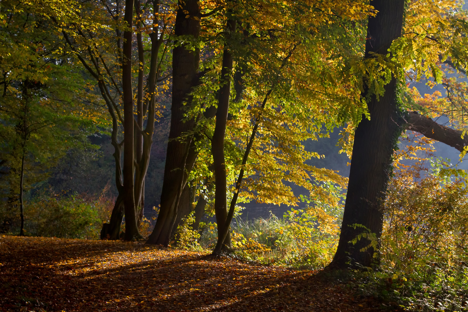 Herbst