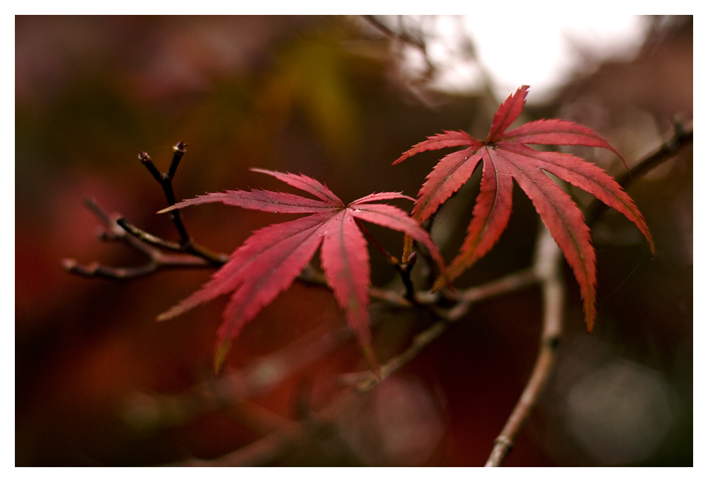 Herbst...