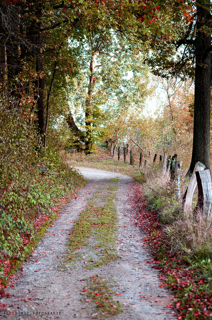 Herbst