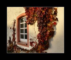 Herbst