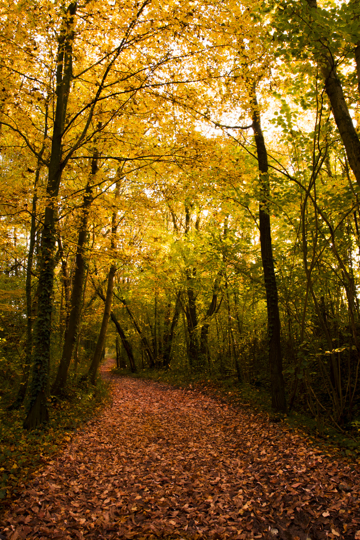 Herbst