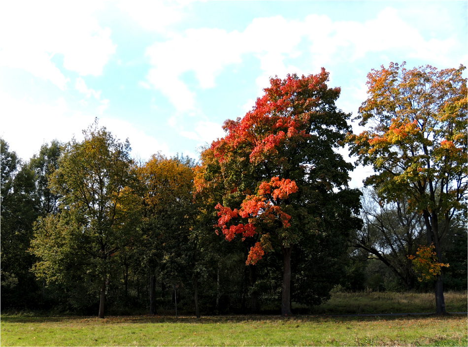 Herbst