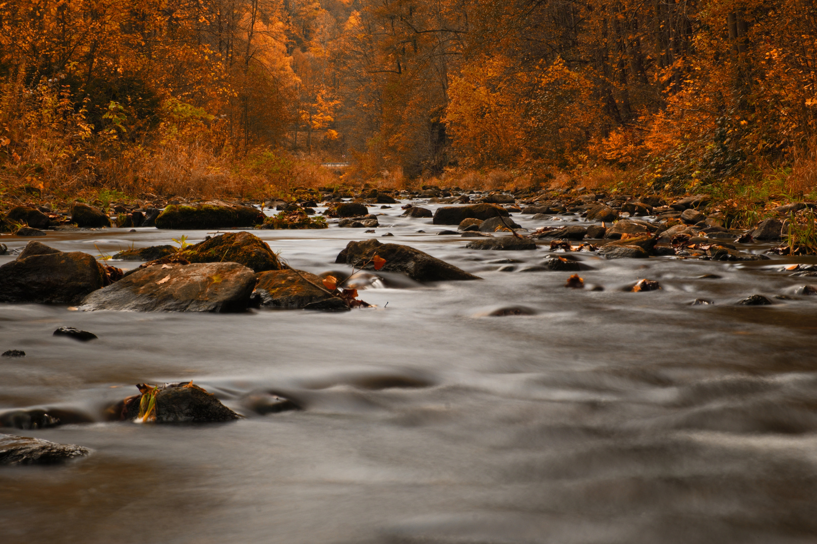 Herbst