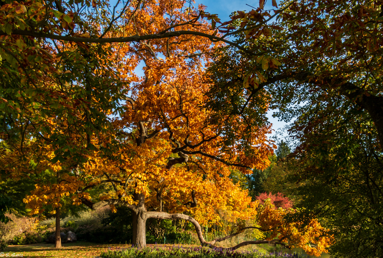 Herbst