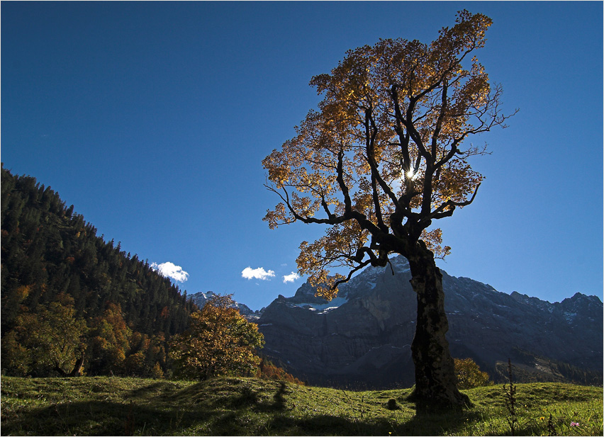 Herbst