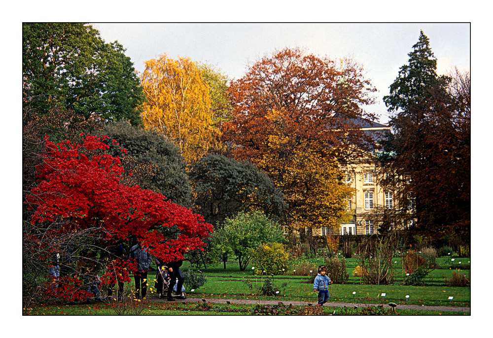 Herbst 1991