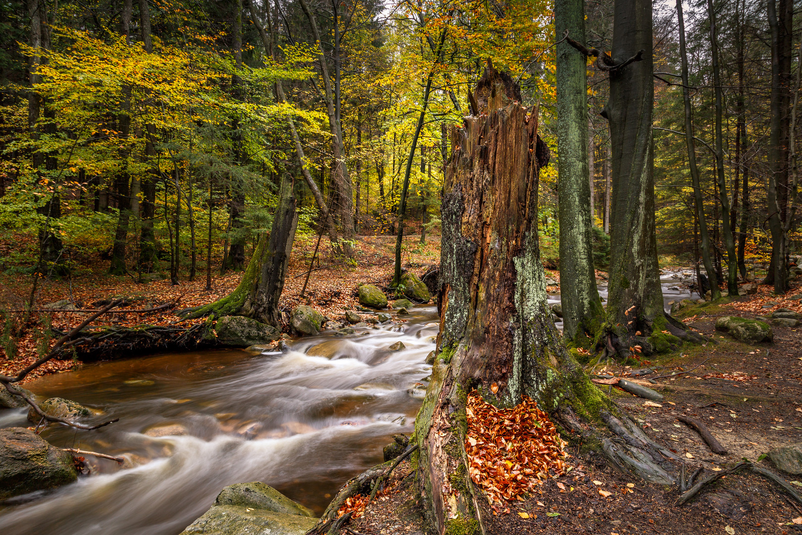 Herbst