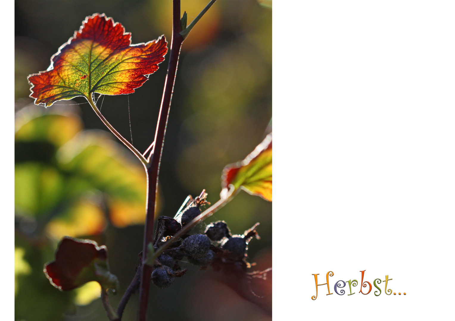 Herbst ...