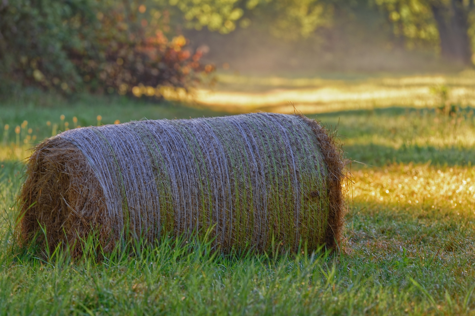 ~ Herbst ~ 