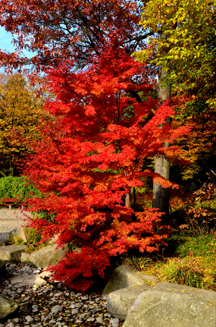 Herbst