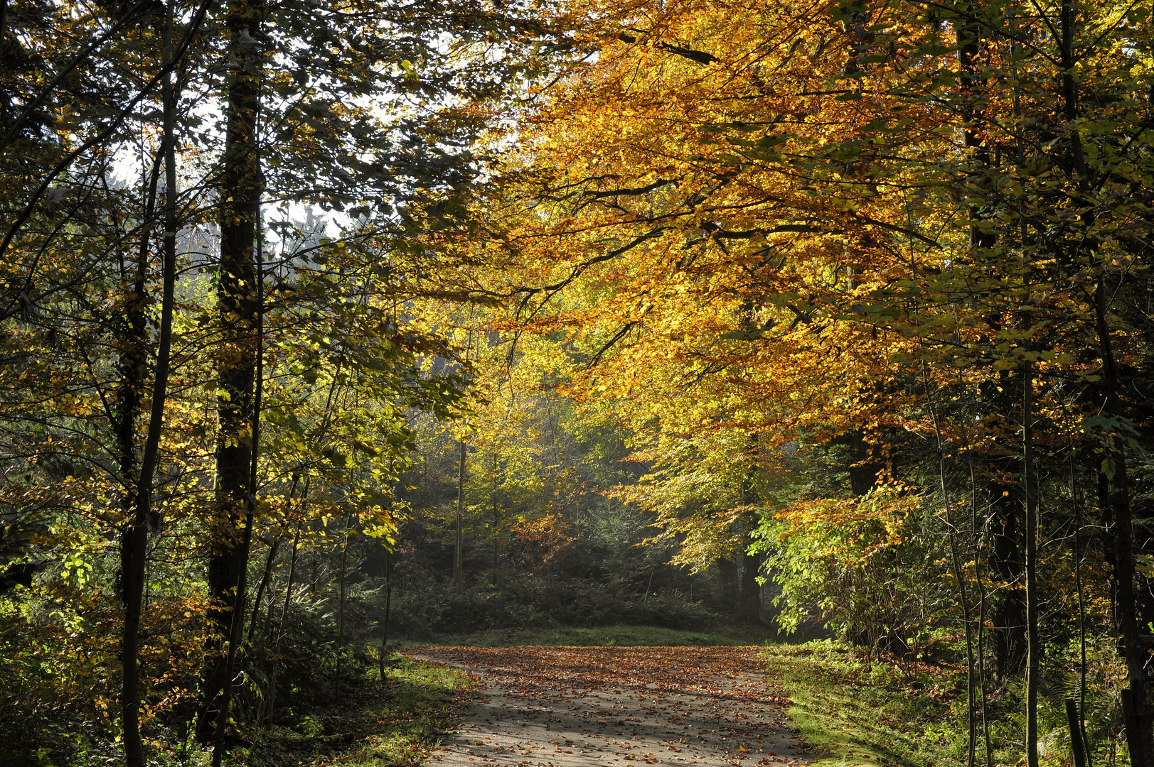 Herbst