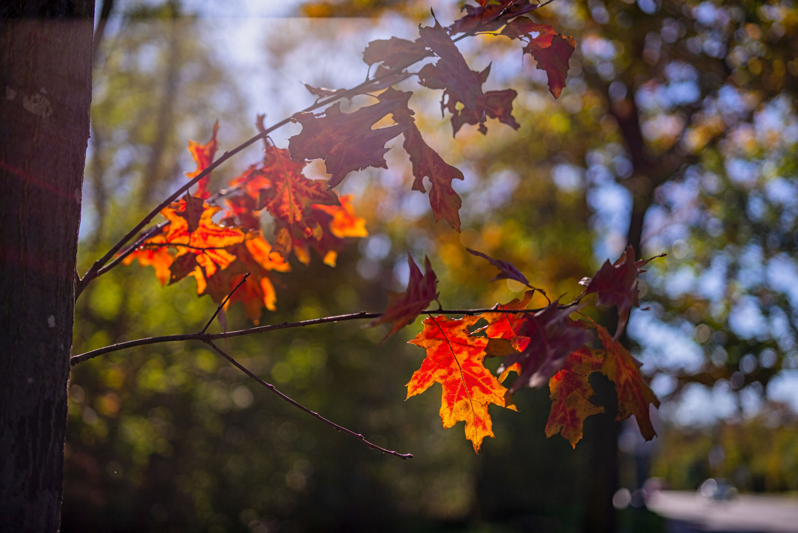 Herbst