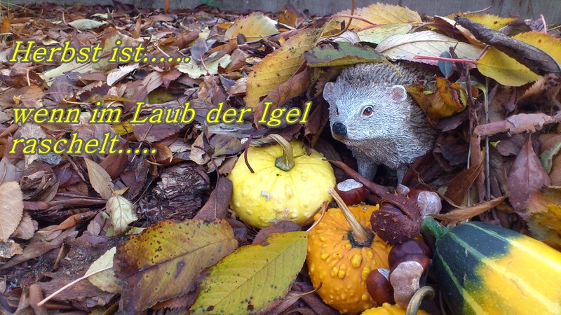 Herbst