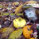 Herbst