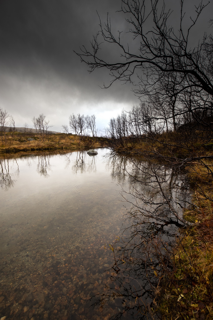 Herbst