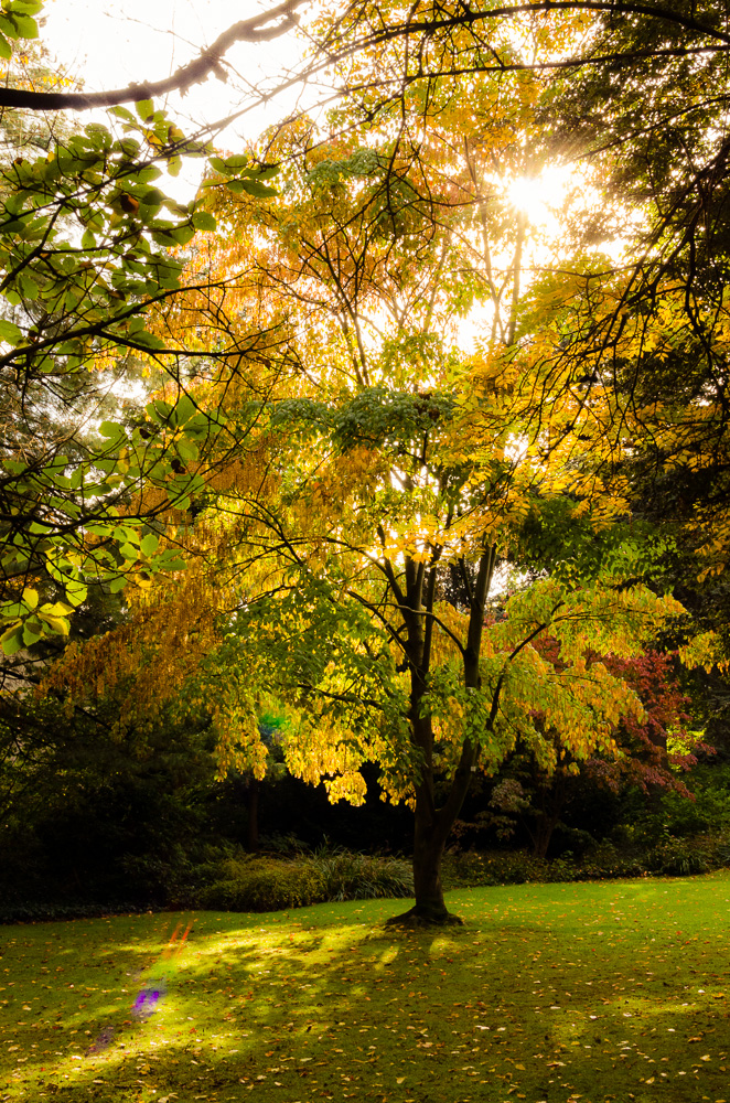 Herbst