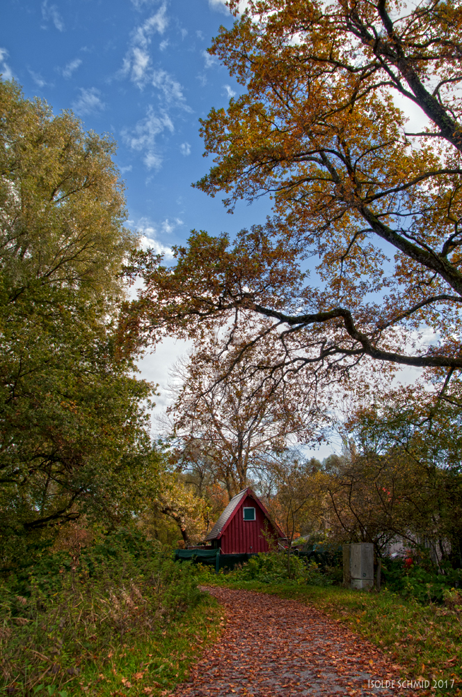 Herbst