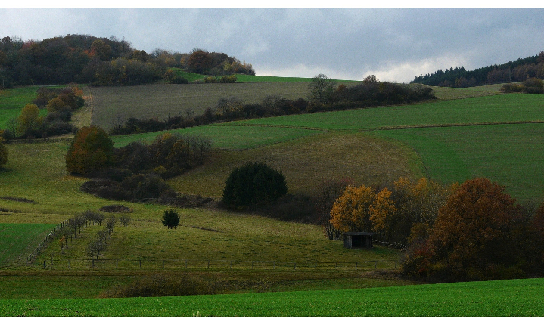 Herbst