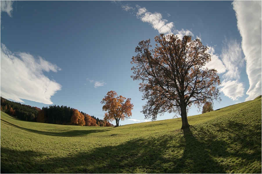 Herbst