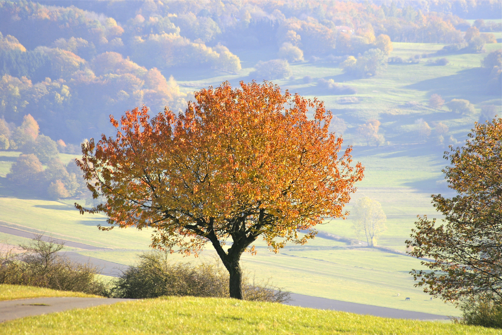 Herbst