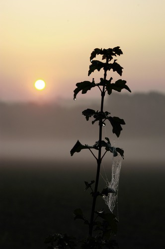 ....Herbst ?.....