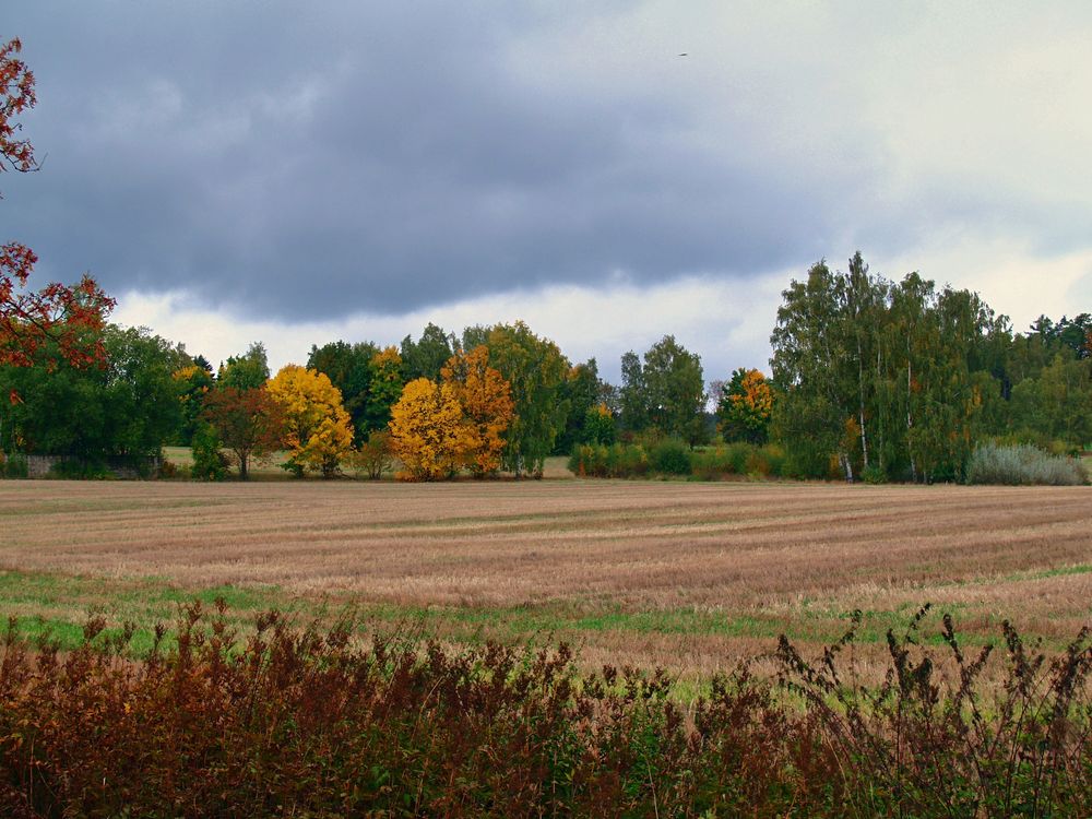 Herbst