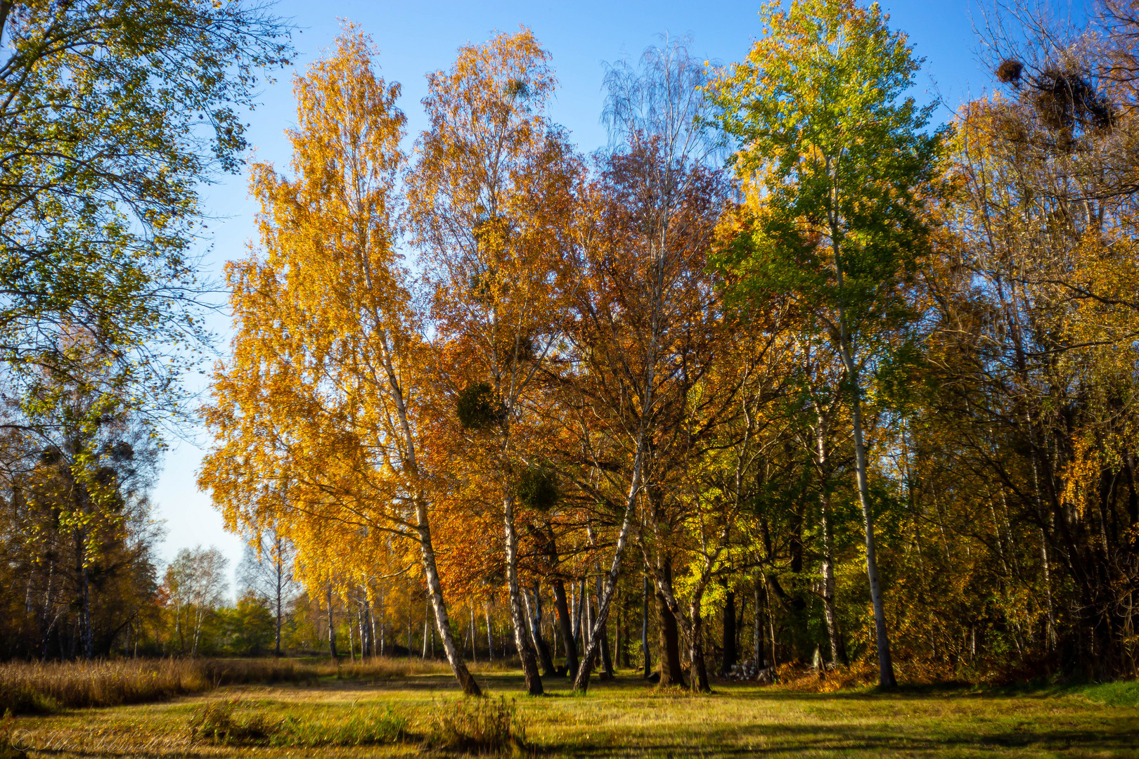 Herbst,...