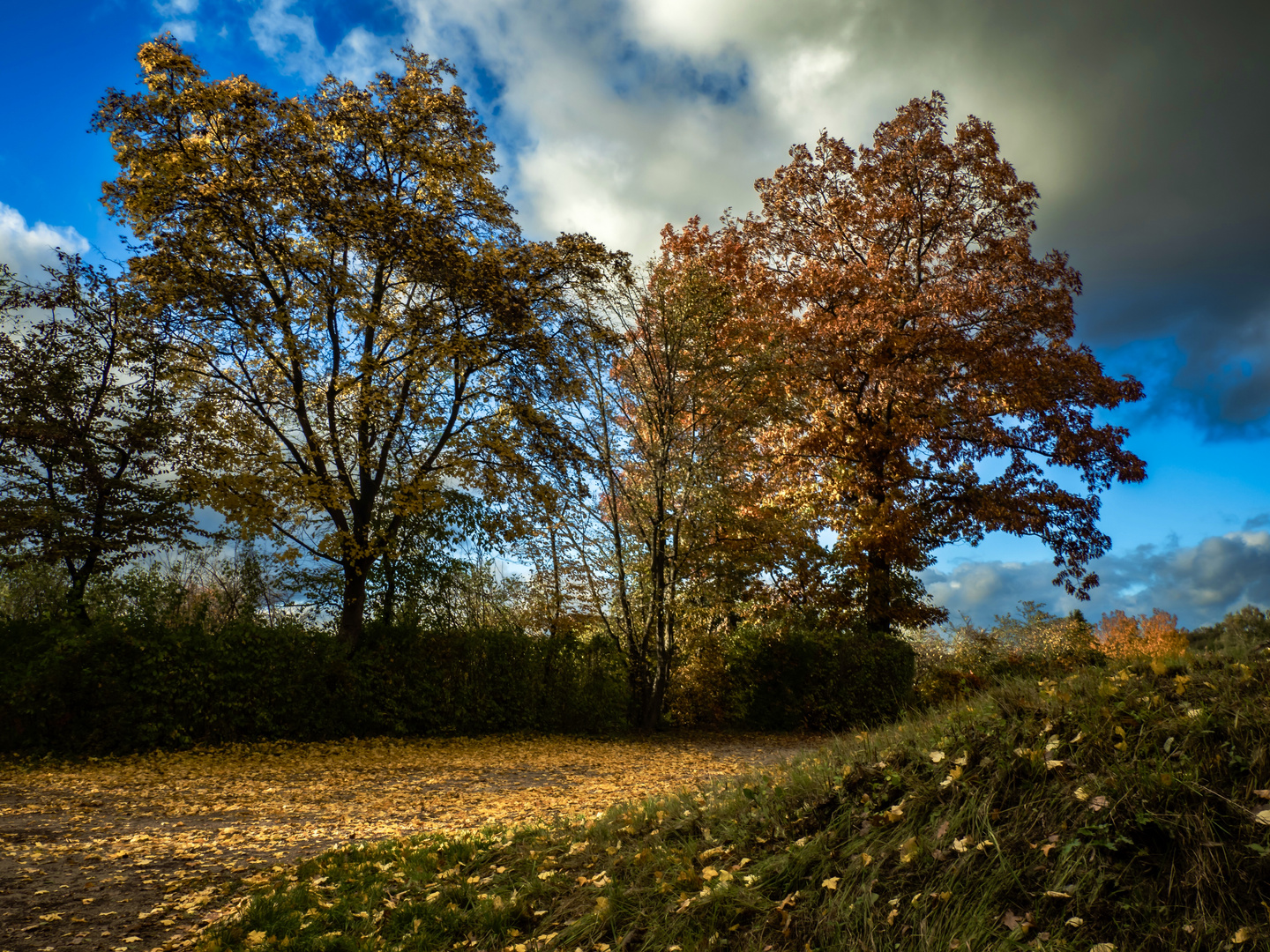 Herbst #2