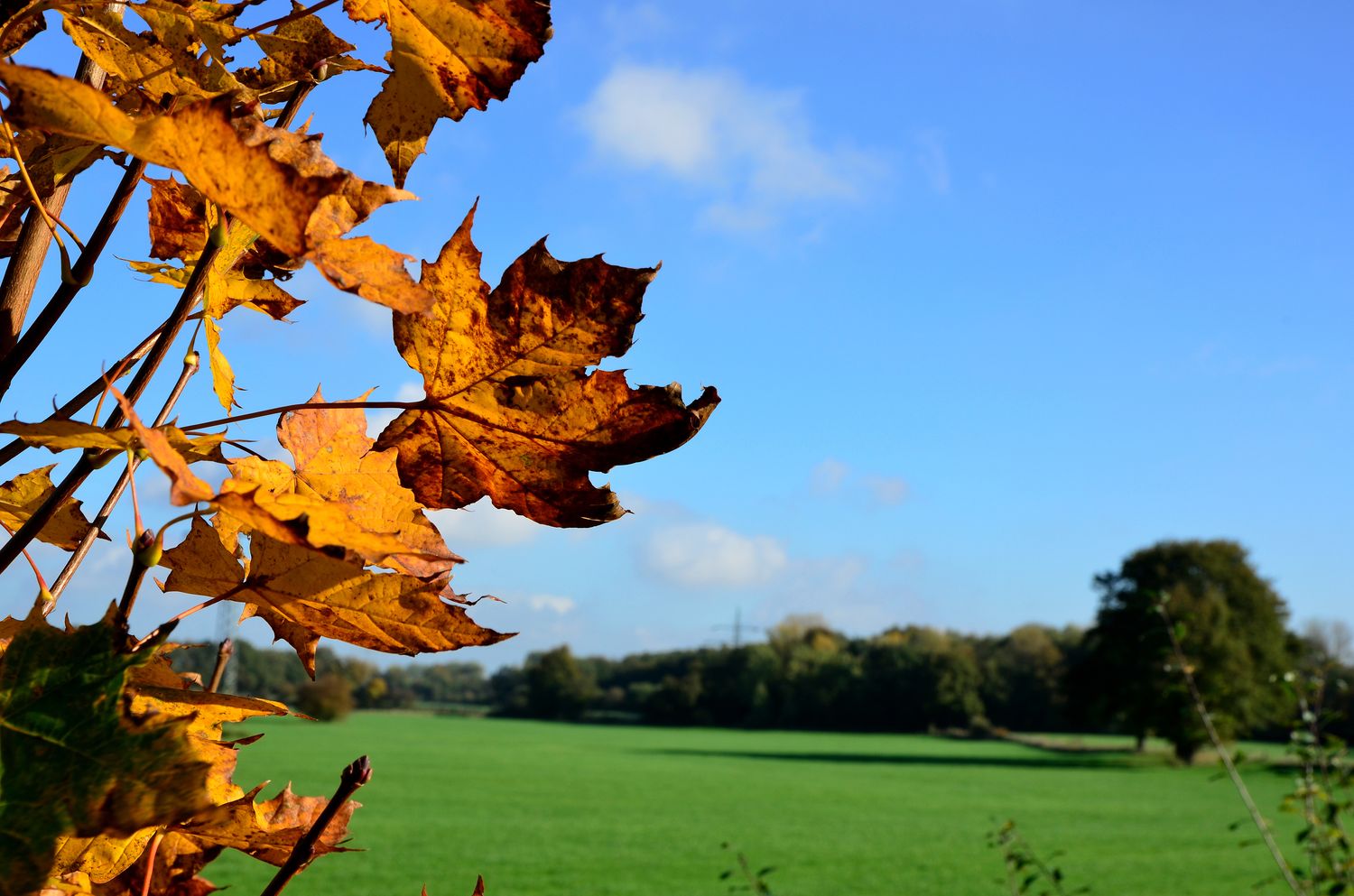 Herbst 2