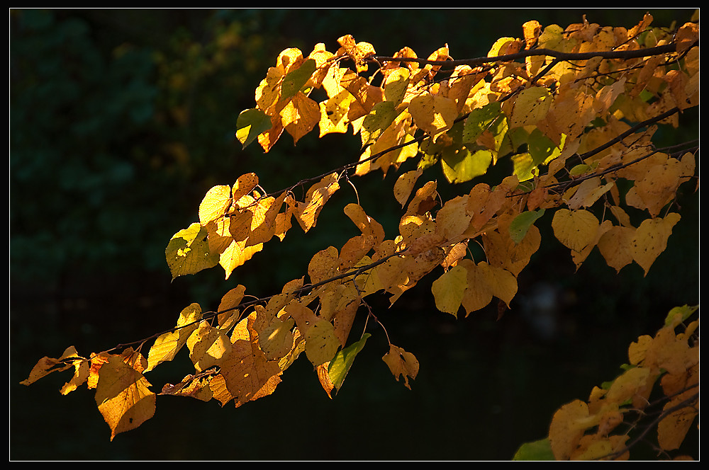 Herbst 2