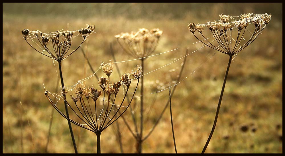 Herbst 2