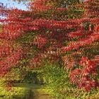 Herbst 2 (3D)