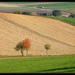 HERBST 2