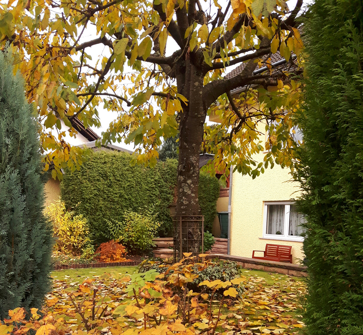 Herbst 2